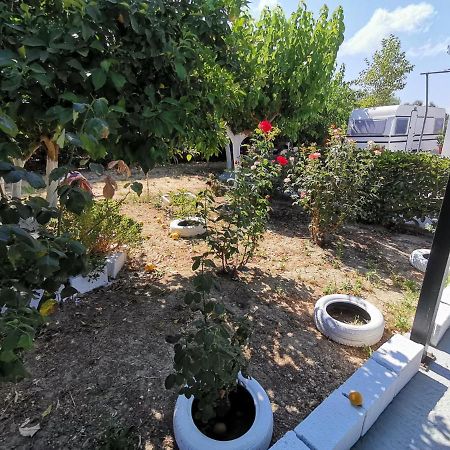 Green Garden Caravan Hotel Agrilia Exterior photo